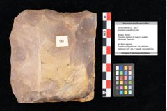 Foto (Objekt + Etikett) von Sclerotium pustuliferum Heer (NHMW-GEO-2024-0188-0090a)